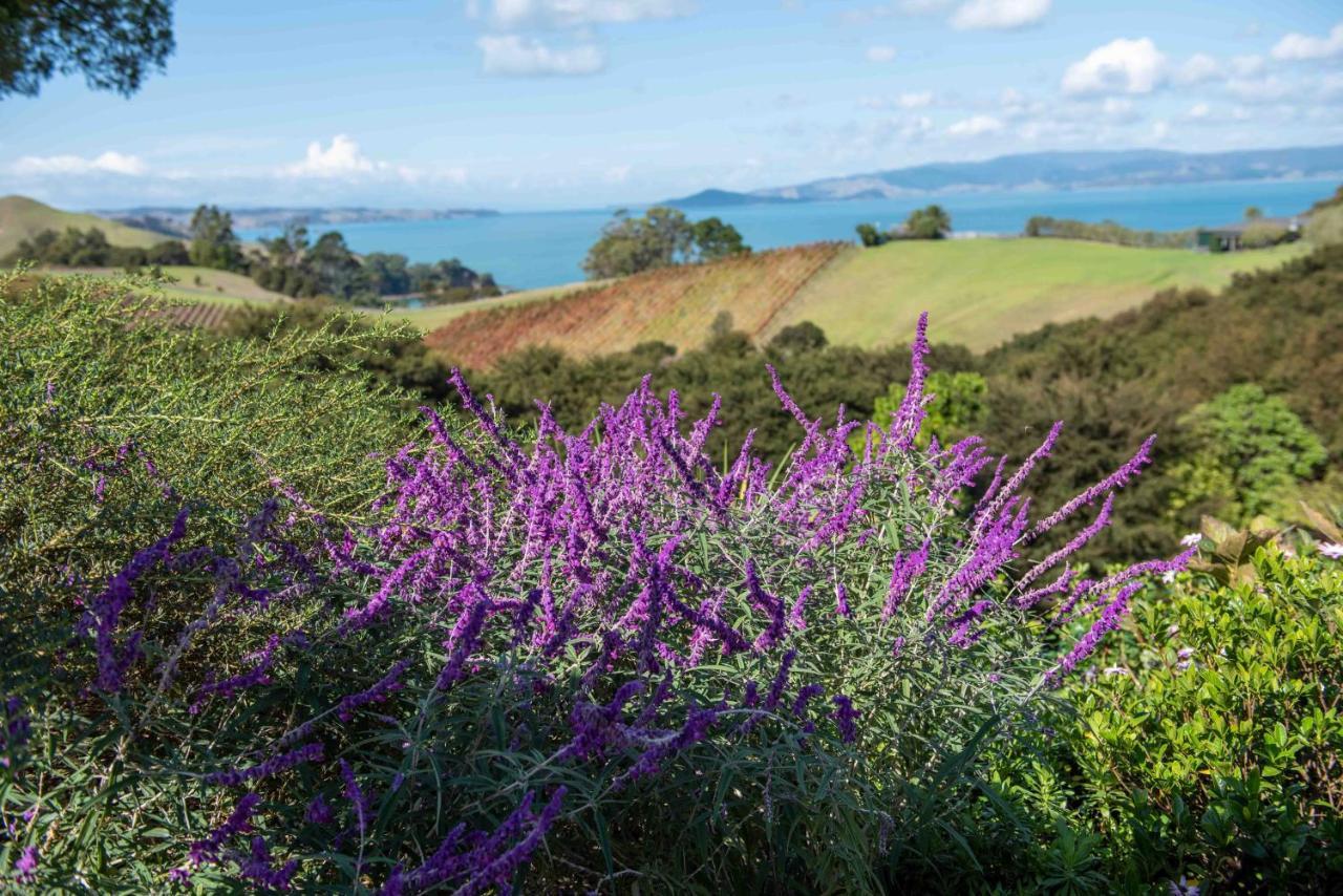 Waiheke Luxury Blue And Green Rooms Ostend ภายนอก รูปภาพ